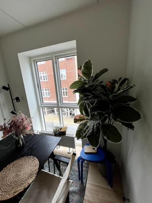 Apartamento Moderne Lejlighed I Hjertet Af Odense C Exterior foto
